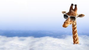 Funny giraffe with sunglasses coming out of the clouds